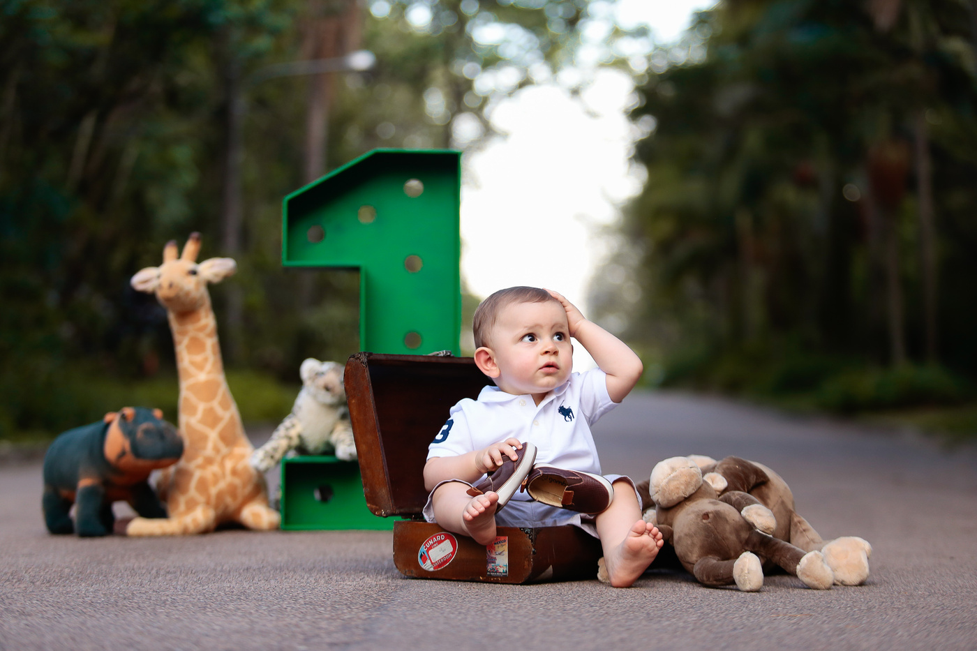 Ensaio Gustavo 1 ano
