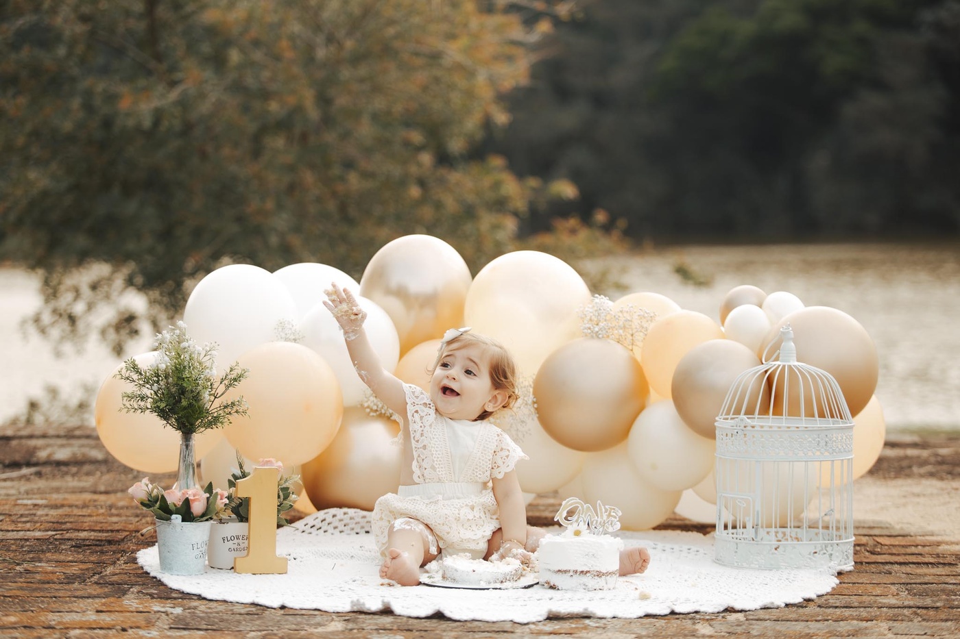 Maya Smash the Cake